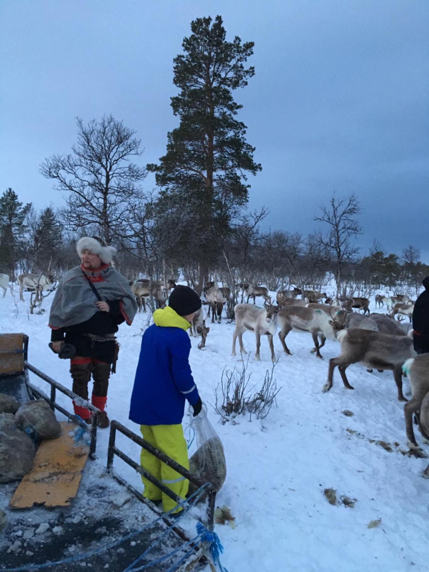 Bardufoss Hotell Εξωτερικό φωτογραφία
