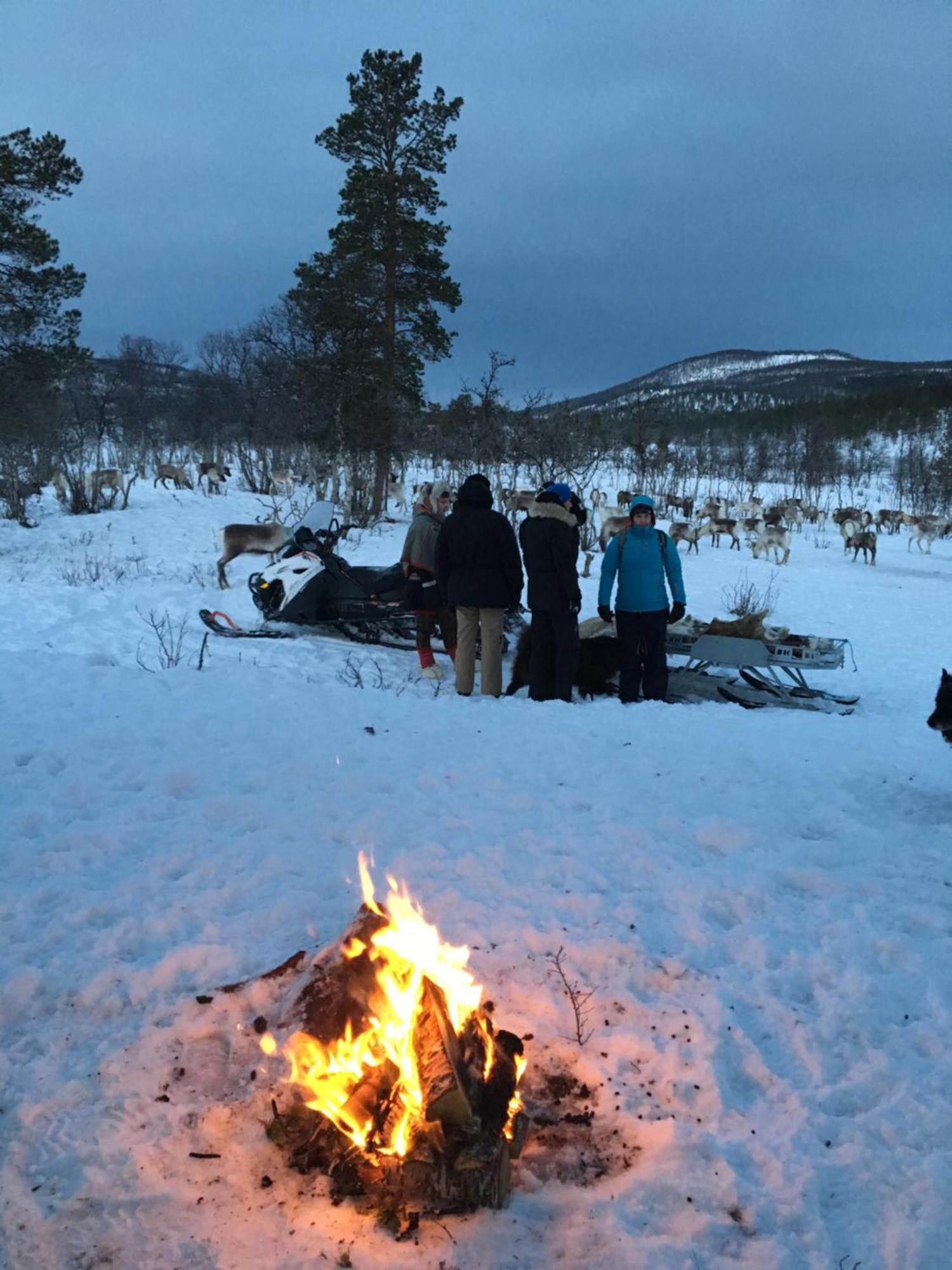 Bardufoss Hotell Εξωτερικό φωτογραφία